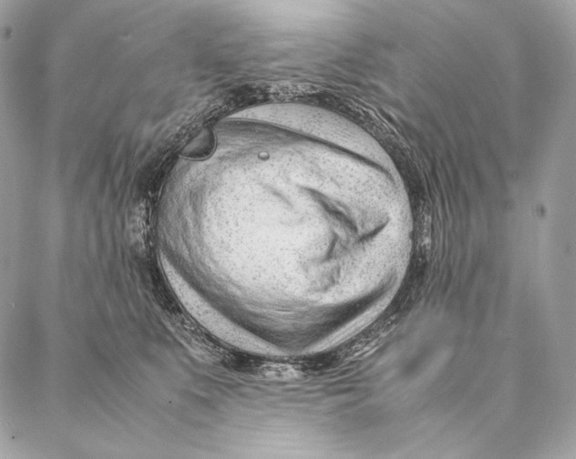 X0000087390519200705111804