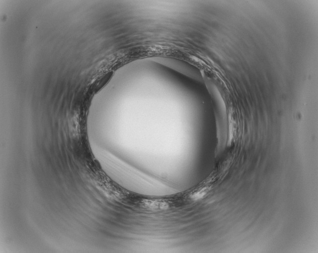 X0000087390520200705111804