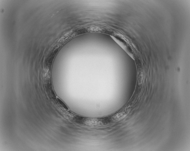 X0000087390521200705111804