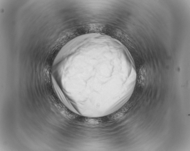 X0000087390522200705111804