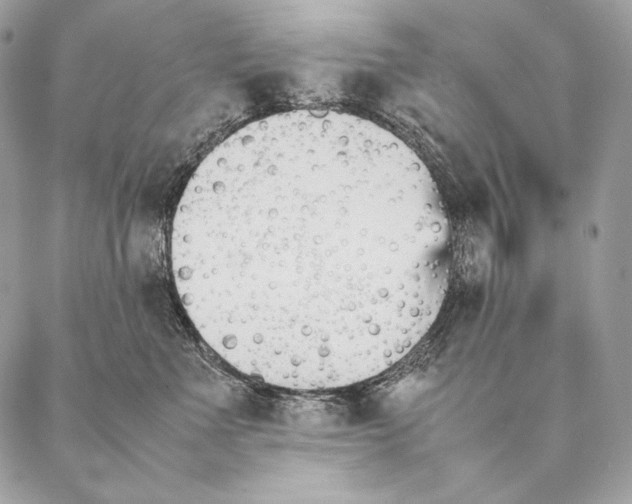 X0000087390523200705111804