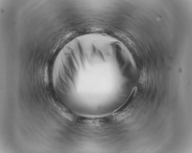 X0000087390524200705111804