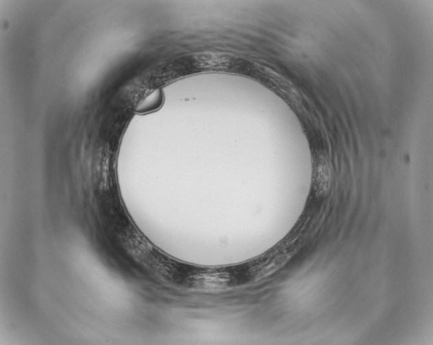 X0000087390525200705111804