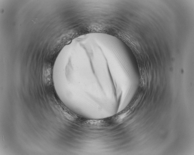 X0000087390526200705111804