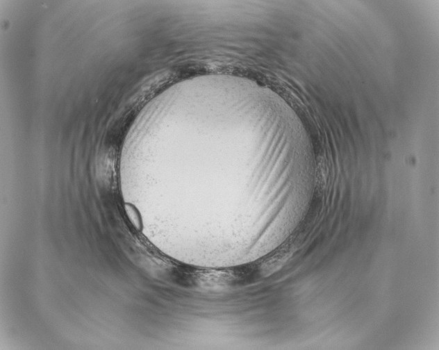 X0000087390527200705111804