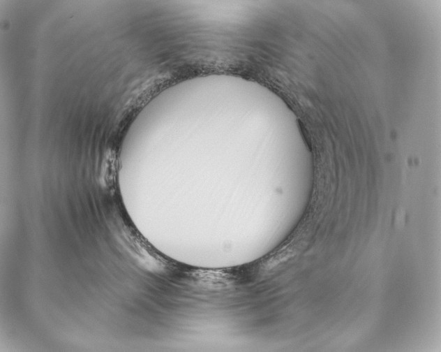 X0000087390528200705111804