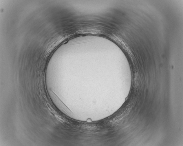 X0000087390529200705111803