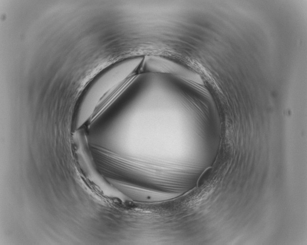 X0000087390530200705111803