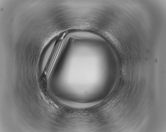 X0000087390532200705111803