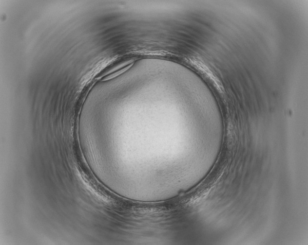 X0000087390533200705111803