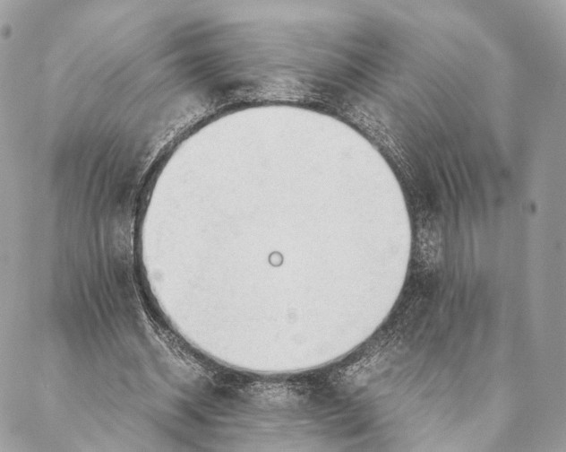 X0000087390534200705111803