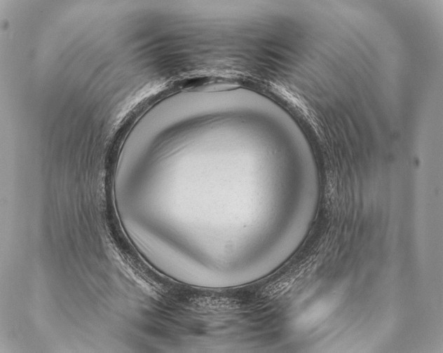 X0000087390535200705111803