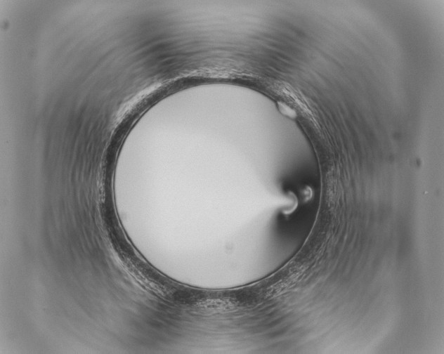 X0000087390536200705111803