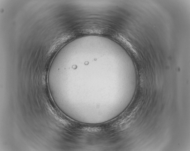 X0000087390537200705111803