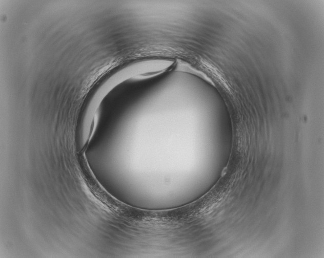 X0000087390538200705111803