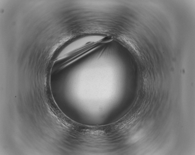 X0000087390539200705111803