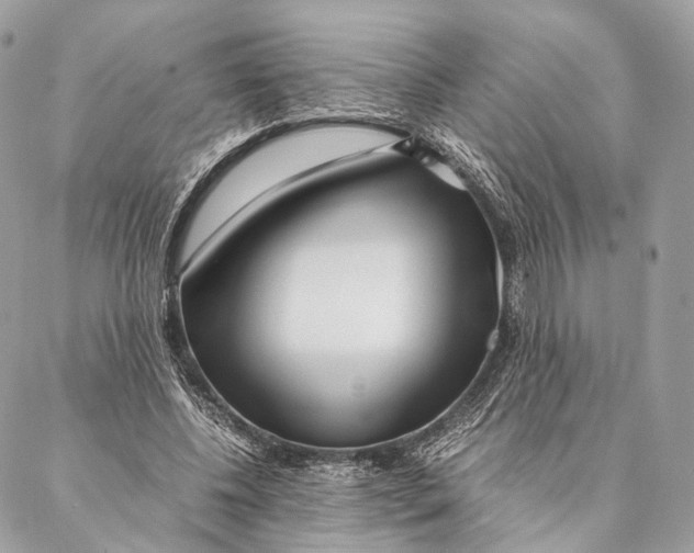 X0000087390540200705111803