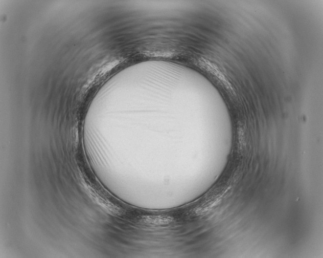 X0000087390541200705111803