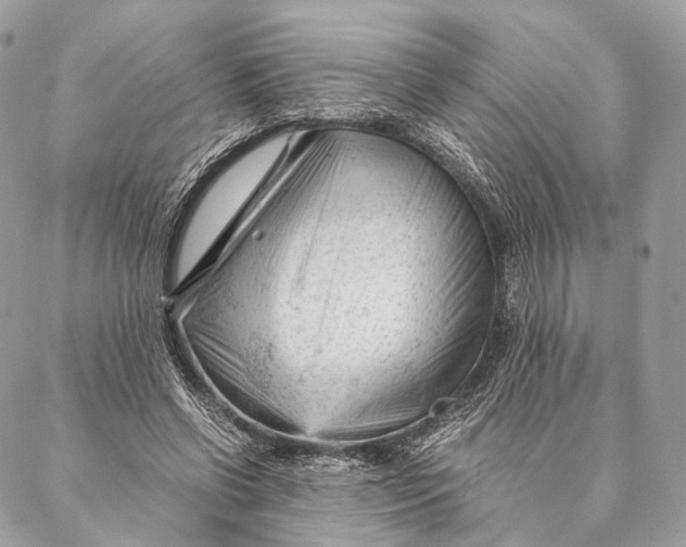 X0000087390542200705111803