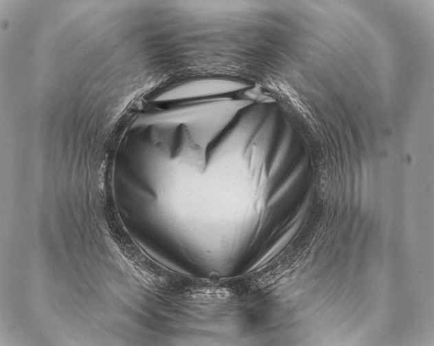 X0000087390543200705111803