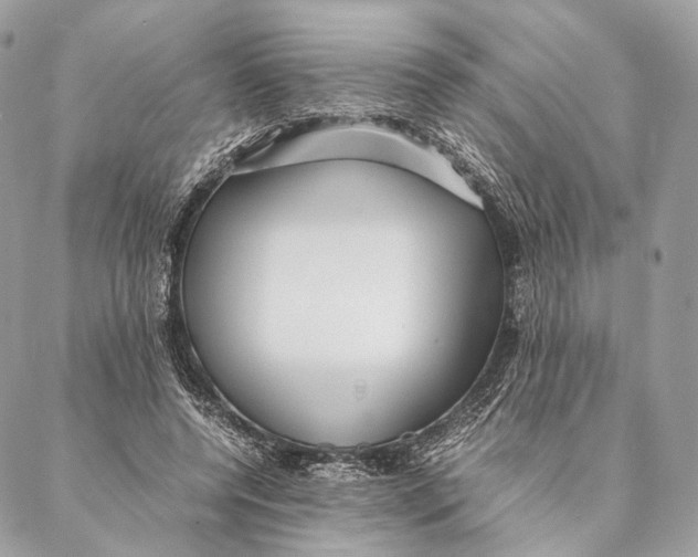 X0000087390544200705111803