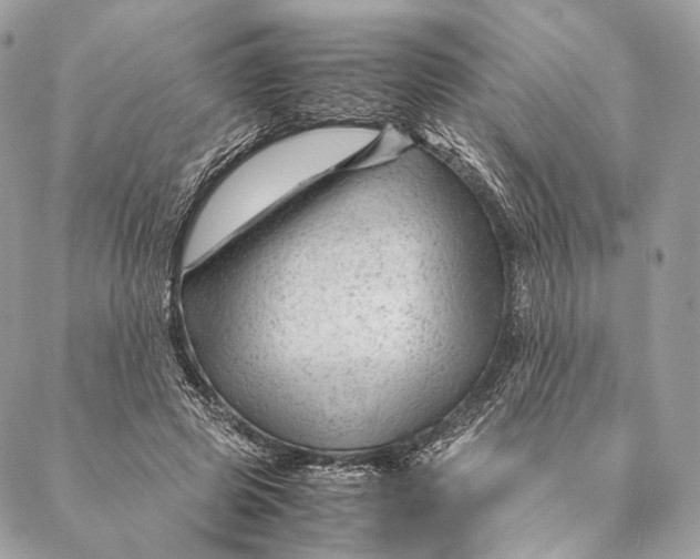 X0000087390545200705111803