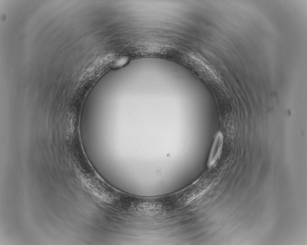 X0000087390546200705111803