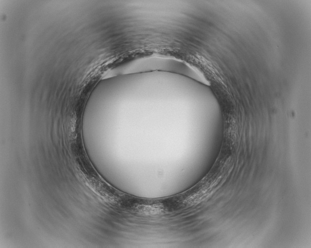 X0000087390548200705111803