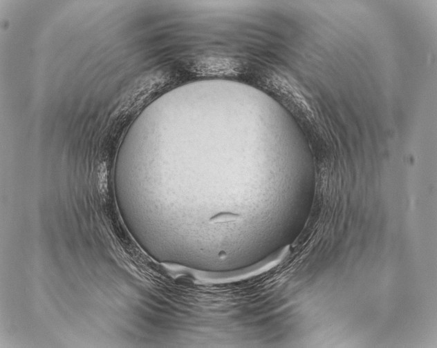 X0000087390549200705111803