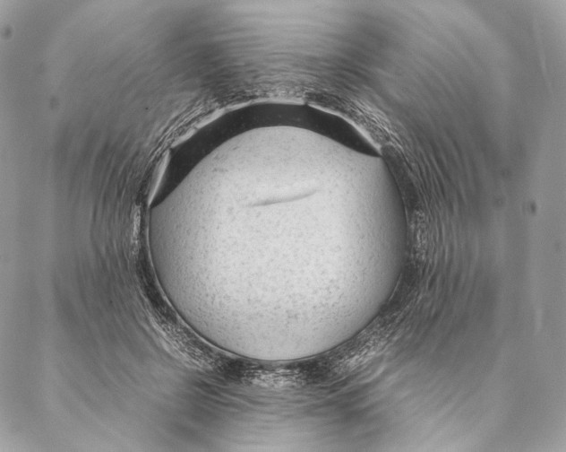 X0000087390550200705111803