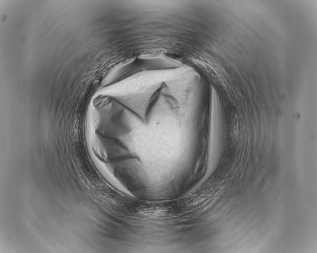 X0000087390551200705111803