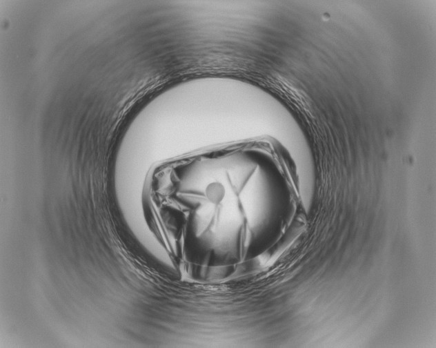 X0000087390552200705111803