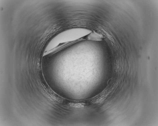 X0000087390553200705111803