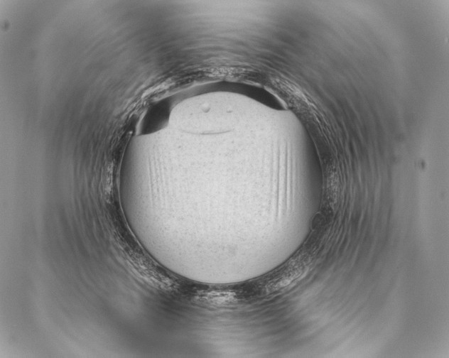 X0000087390554200705111803