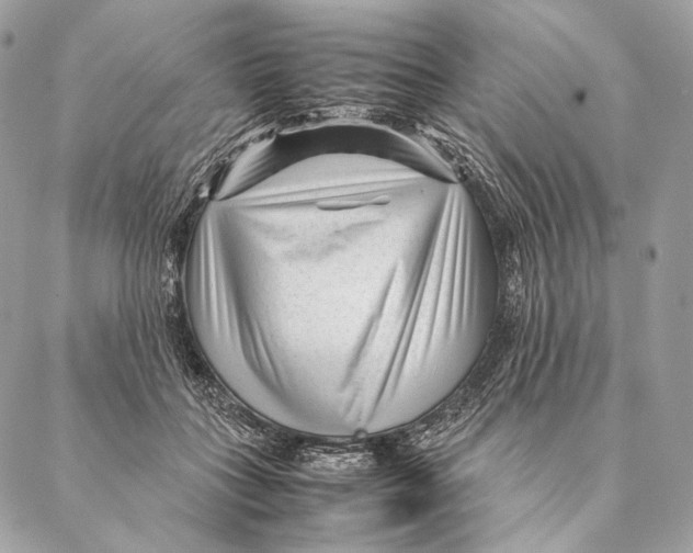 X0000087390555200705111803