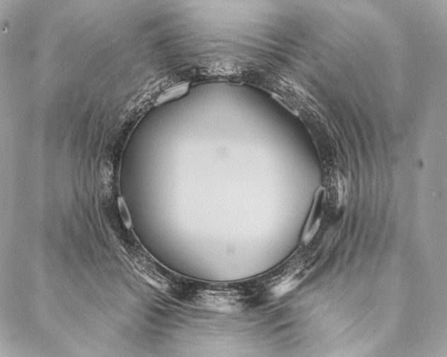 X0000087390556200705111803