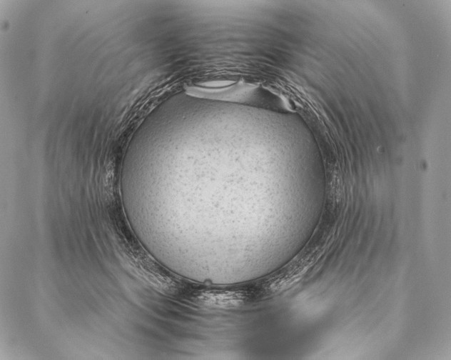 X0000087390557200705111803