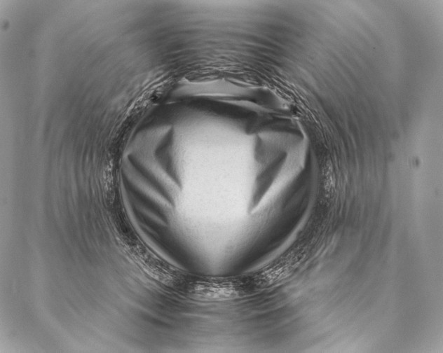 X0000087390559200705111803