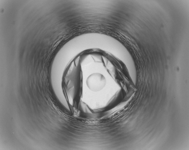 X0000087390560200705111803