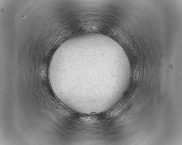 X0000087390561200705111803