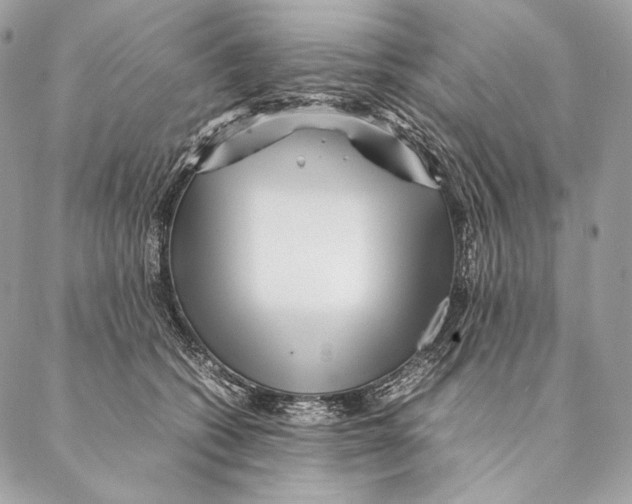 X0000087390562200705111803