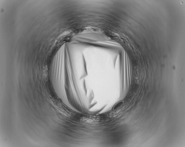 X0000087390563200705111803