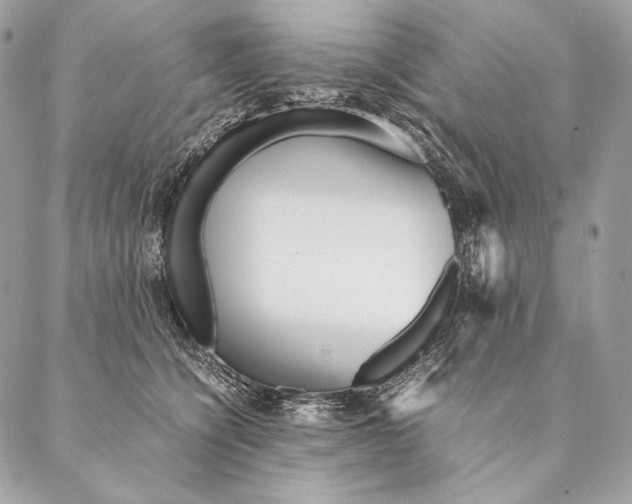 X0000087390564200705111803