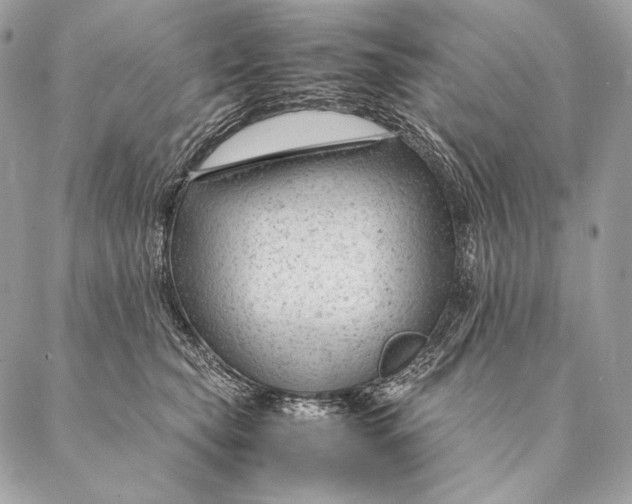 X0000087390565200705111803