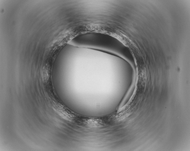 X0000087390566200705111803