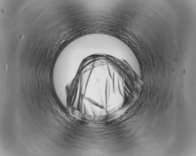 X0000087390568200705111803