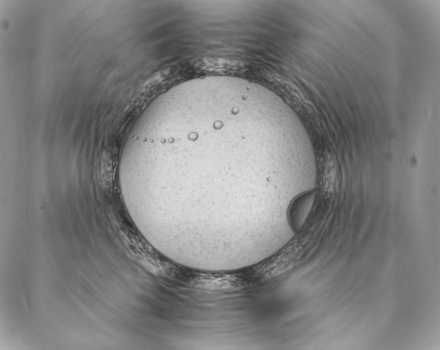 X0000087390569200705111803