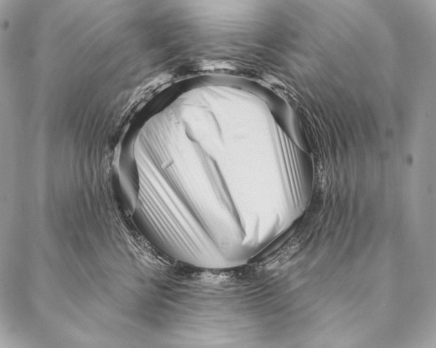 X0000087390570200705111803