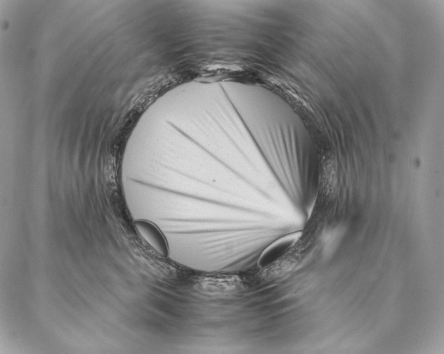 X0000087390571200705111803