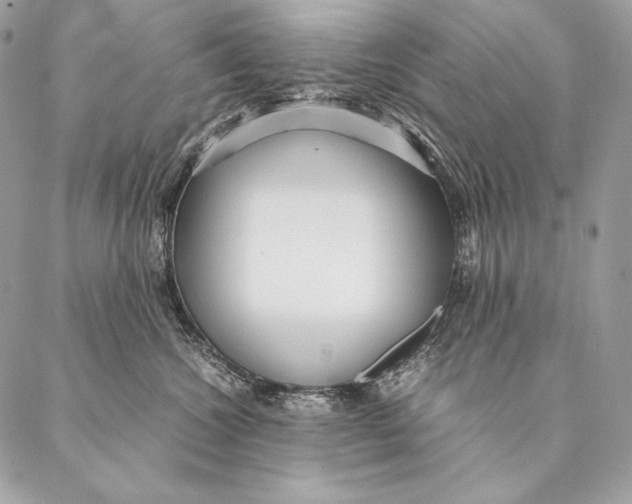 X0000087390572200705111803